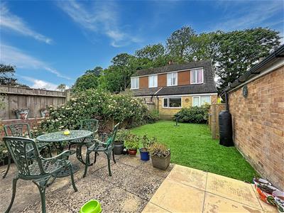 Picture 2